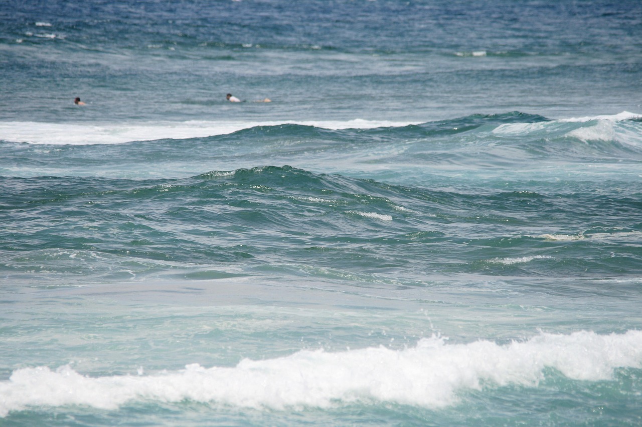 Waves, tide, nature — Business Acumen through Part-Time Jobs
